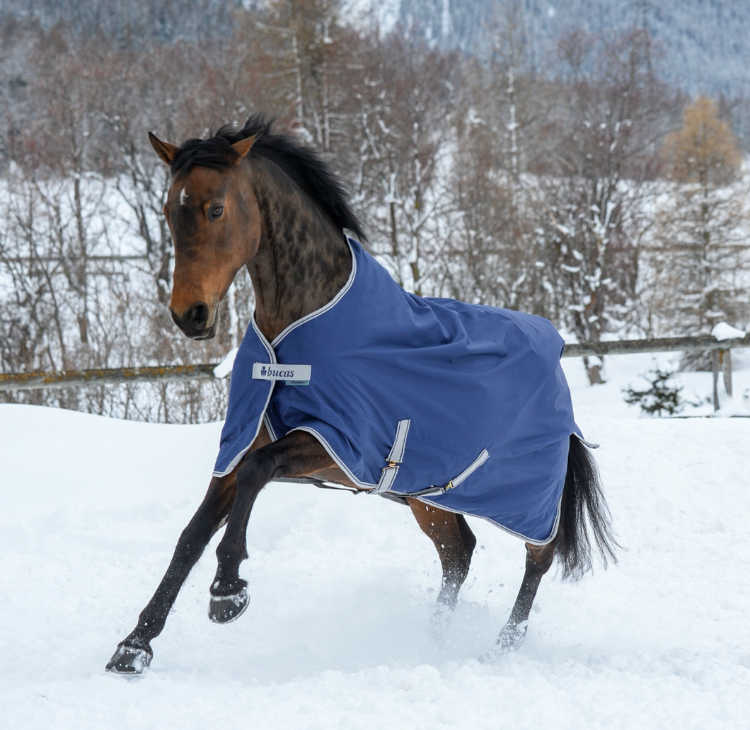 Freedom 300g Turnout Rug