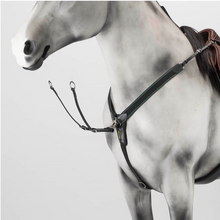Breastplate Amergio