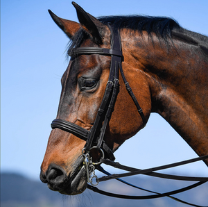 Double Bridle With Reins
