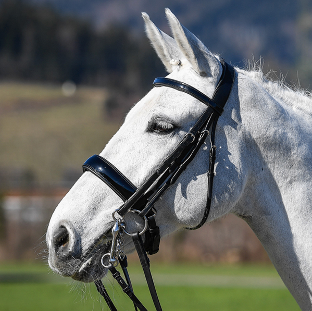 Patent Double Bridle