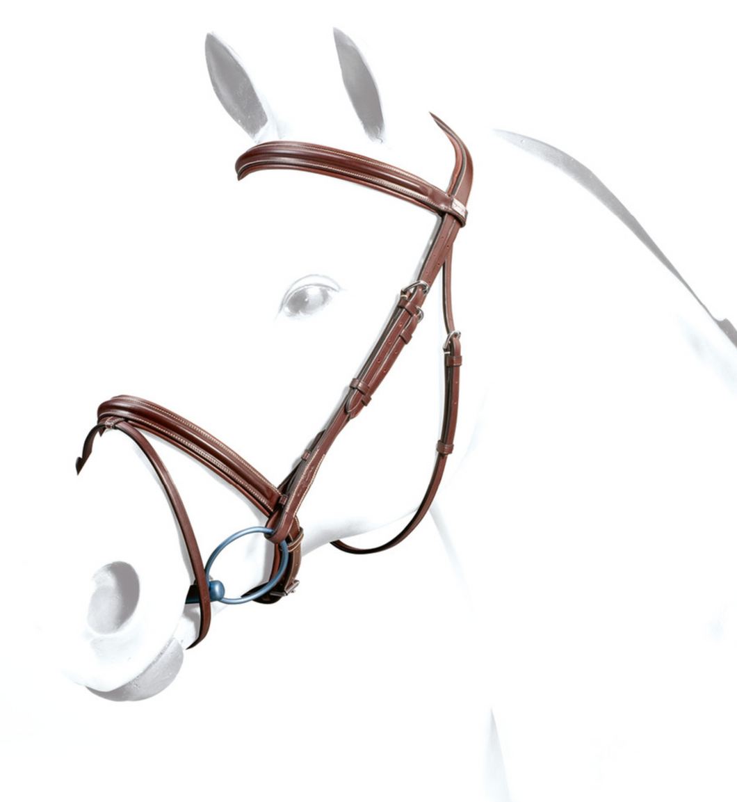 Flash Bridle No Stress with reins