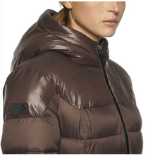 CT Shiny/Matte Nylon Hooded  Long Puffer Brown