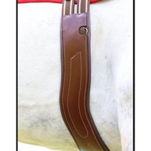 Kentaur Shaped Dijon Girth 2023